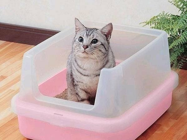 Японский кошачий туалет iris