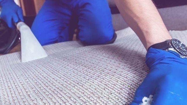 Как и чем чистить ковёр? | Напольные покрытия АРТ-Дом