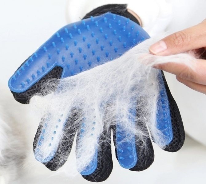 Перчатка для вычесывания шерсти кошек и собак