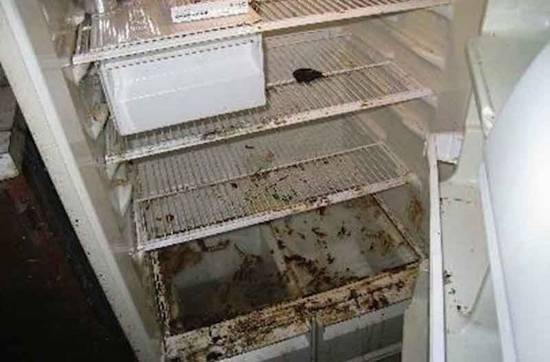 Старый холодильник внутри