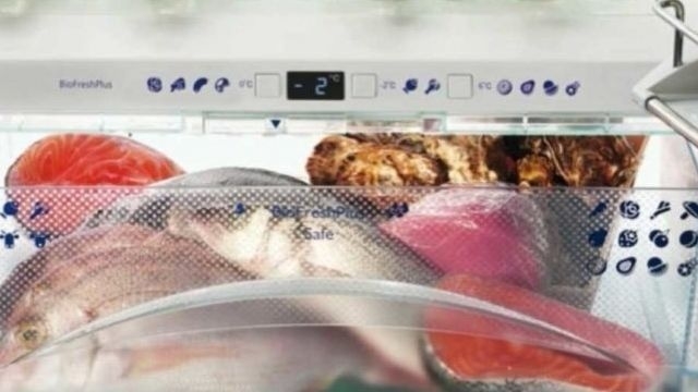 Запах протухшей рыбы в холодильнике