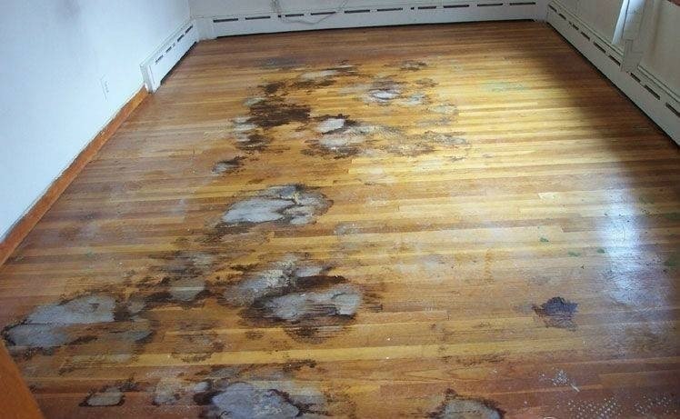Dark water stains on hardwood floors