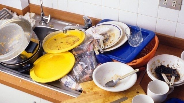 Нужна ли посудомоечная машина