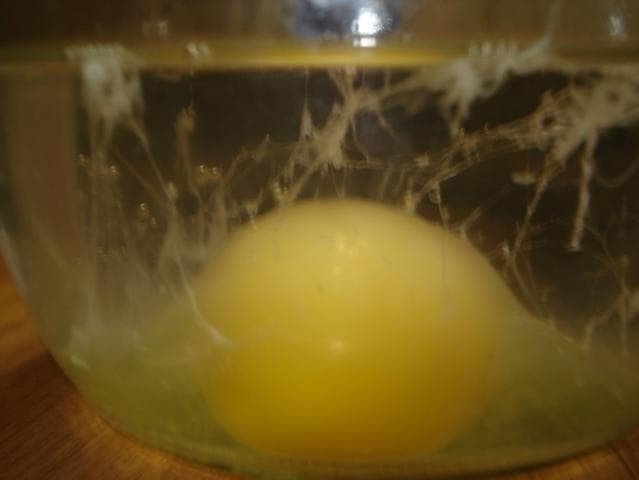 Выкатывание порчи яйцом