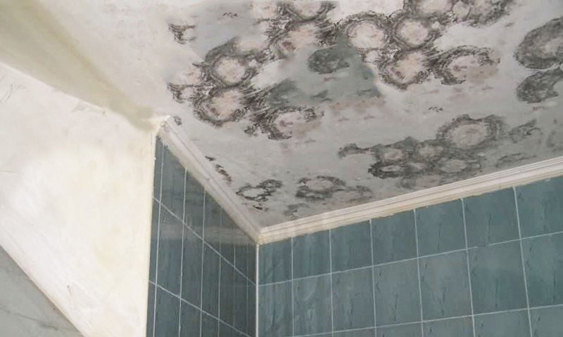 Натяжной потолок в ванной плесень