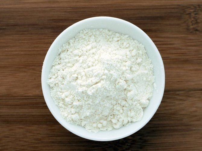 Coconut milk powder